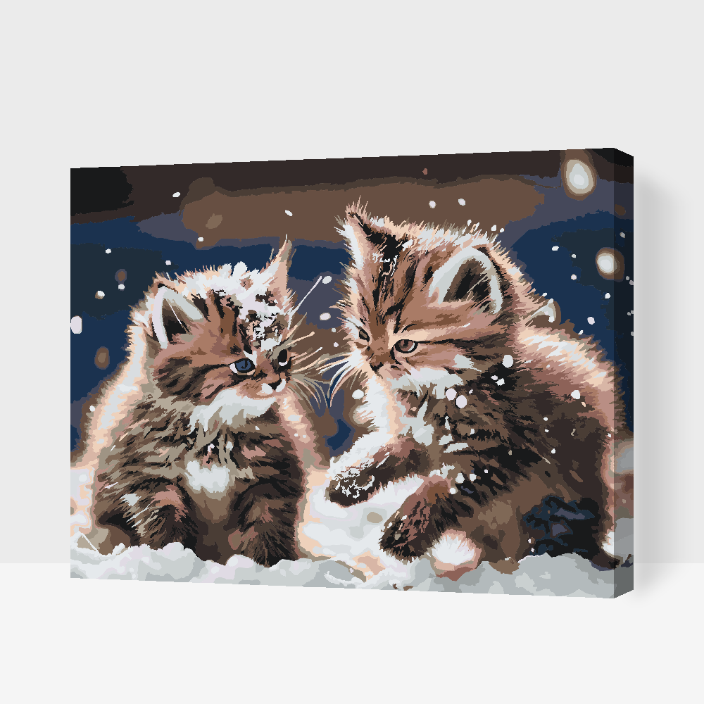 Malování podle čísel - Kittens in the snow